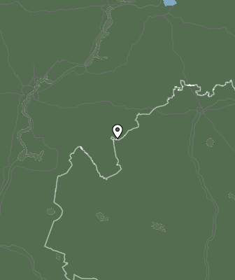 Niederschlagsprognose