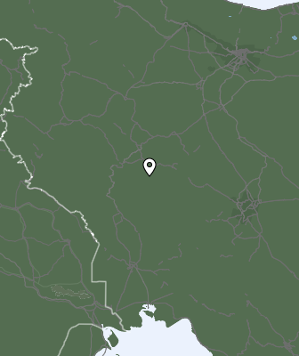 Niederschlagsprognose