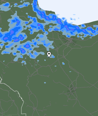 Niederschlagsprognose
