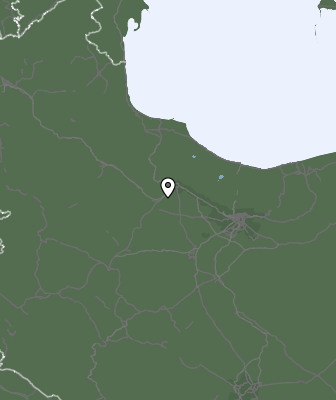 Niederschlagsprognose