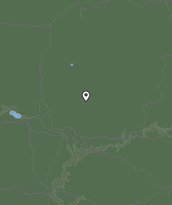 Niederschlagsprognose