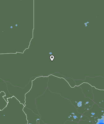Niederschlagsprognose