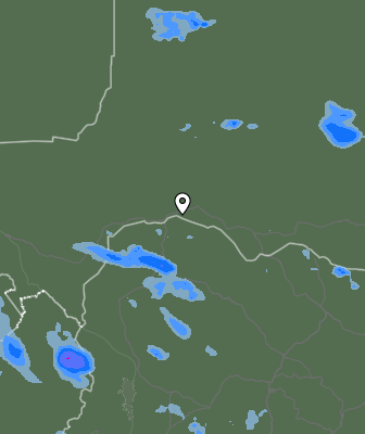 Валежи