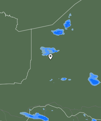Валежи