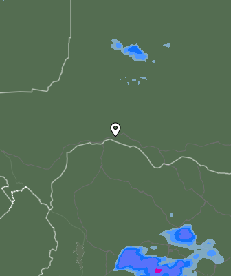 Валежи