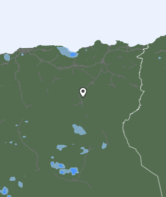 Валежи