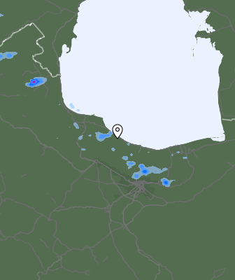 Niederschlagsprognose