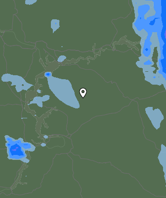 Niederschlagsprognose