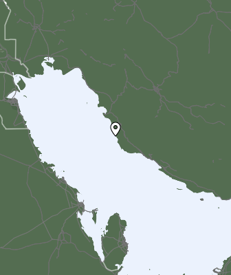Srážky