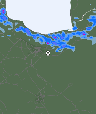 Валежи