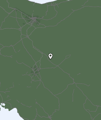 Niederschlagsprognose