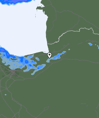 Валежи