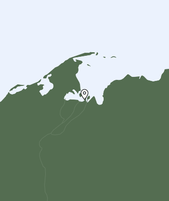 Niederschlagsprognose