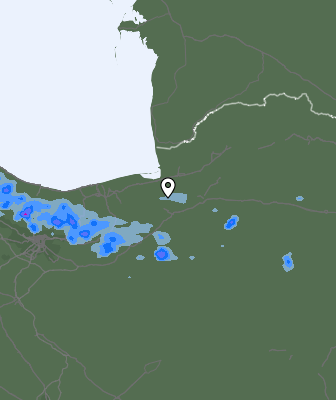 Валежи