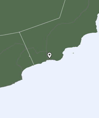 Niederschlagsprognose