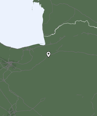Валежи
