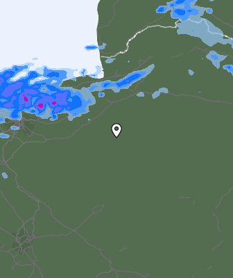 Валежи