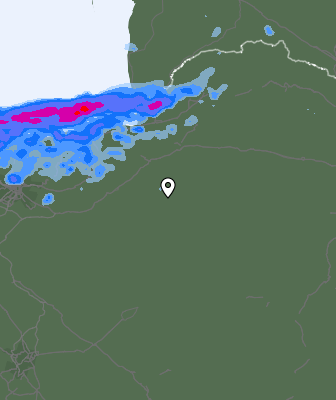 Валежи