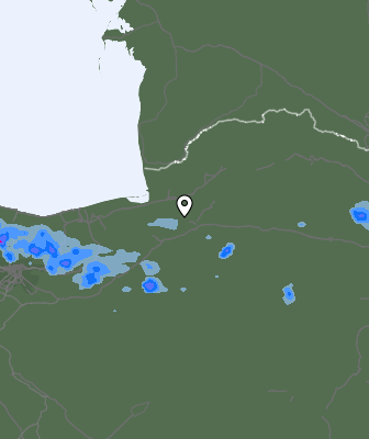 Валежи