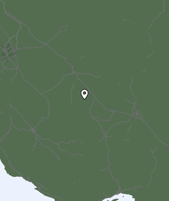 Niederschlagsprognose