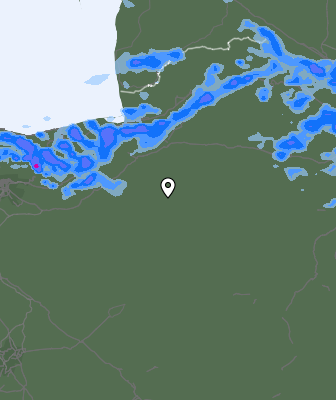 Валежи