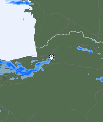 Валежи
