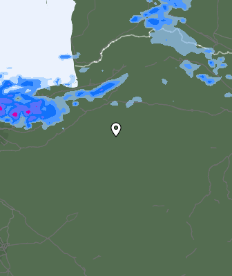 Валежи