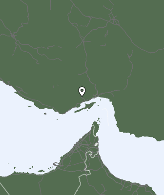 Niederschlagsprognose