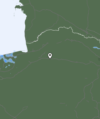 Валежи