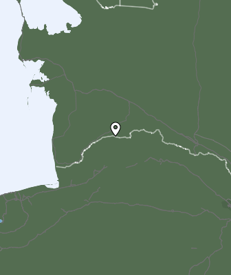 Niederschlagsprognose