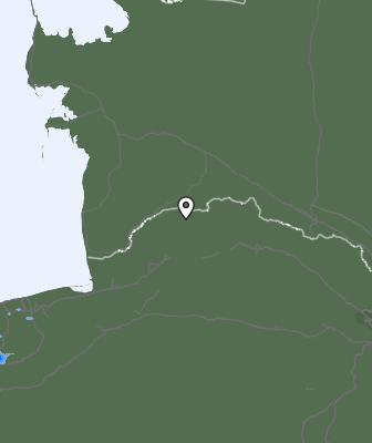 Niederschlagsprognose