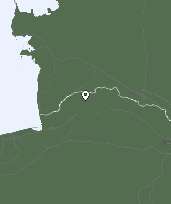 Niederschlagsprognose