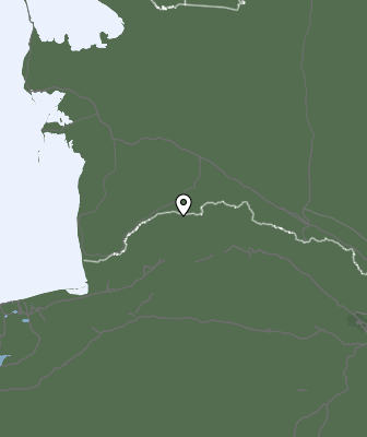 Niederschlagsprognose