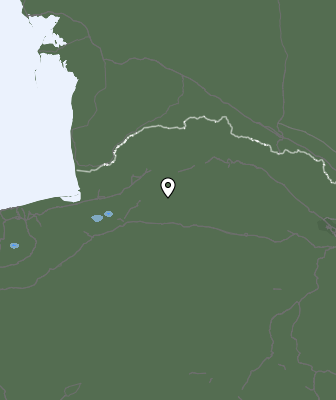 Валежи
