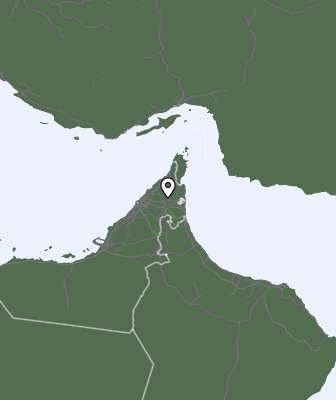 Niederschlagsprognose
