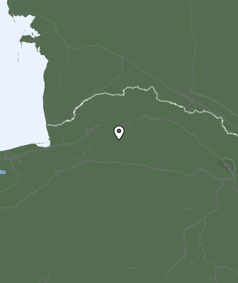 Niederschlagsprognose