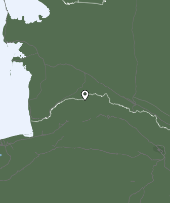 Niederschlagsprognose