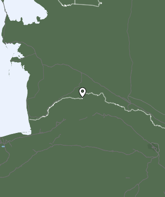 Niederschlagsprognose