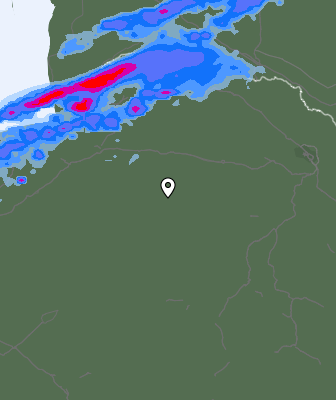 Валежи