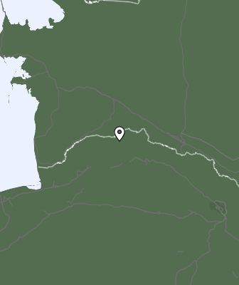 Niederschlagsprognose
