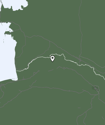 Niederschlagsprognose