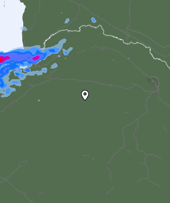Валежи