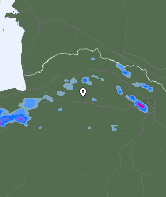 Валежи