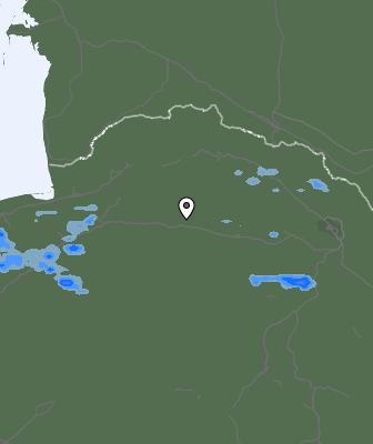 Валежи