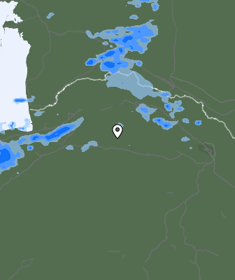 Валежи