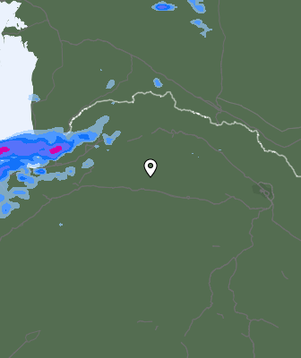 Валежи