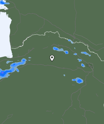 Валежи