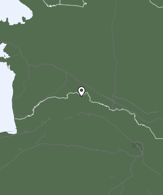 Niederschlagsprognose