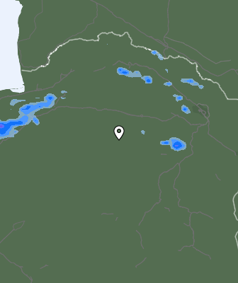 Валежи