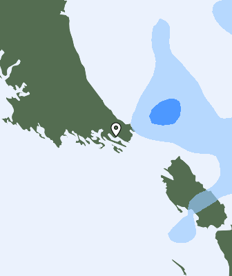 Neerslag